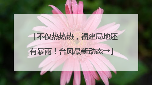 不仅热热热，福建局地还有暴雨！台风最新动态→