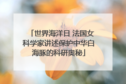 世界海洋日 法国女科学家讲述保护中华白海豚的科研奥秘