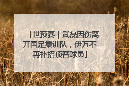 世预赛｜武磊因伤离开国足集训队，伊万不再补招顶替球员