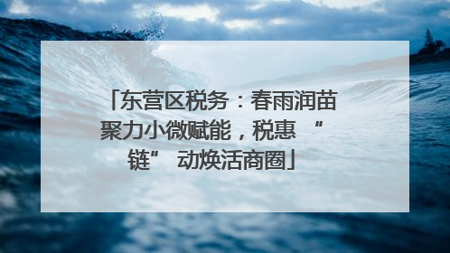 东营区税务：春雨润苗聚力小微赋能，税惠 “链” 动焕活商圈