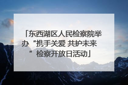东西湖区人民检察院举办“携手关爱 共护未来”检察开放日活动