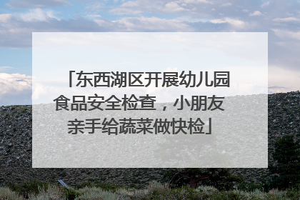东西湖区开展幼儿园食品安全检查，小朋友亲手给蔬菜做快检