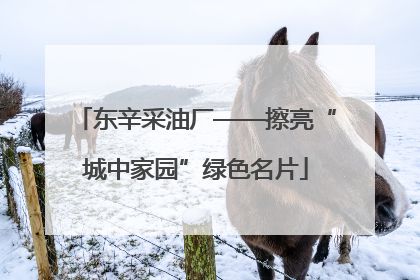 东辛采油厂——擦亮“城中家园”绿色名片