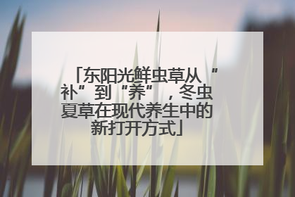 东阳光鲜虫草从“补”到“养”，冬虫夏草在现代养生中的新打开方式
