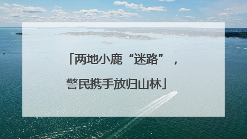 两地小鹿“迷路”，警民携手放归山林