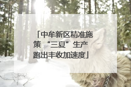 中牟新区精准施策 “三夏”生产跑出丰收加速度