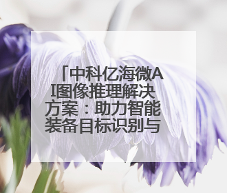 中科亿海微AI图像推理解决方案：助力智能装备目标识别与跟踪
