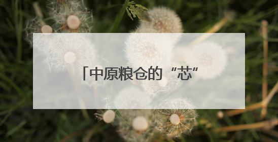 中原粮仓的“芯”动能——“打赢这一战 底气从何来”系列观察之四