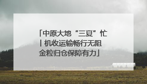 中原大地“三夏”忙丨机收运输畅行无阻 金粒归仓保障有力