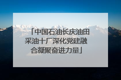 中国石油长庆油田采油十厂深化党建融合凝聚奋进力量