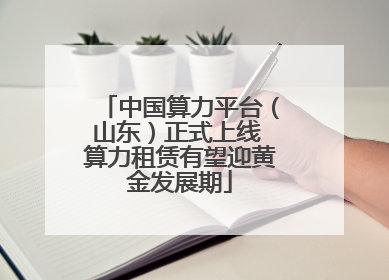 中国算力平台（山东）正式上线 算力租赁有望迎黄金发展期