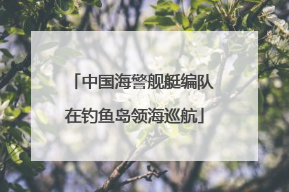 中国海警舰艇编队在钓鱼岛领海巡航