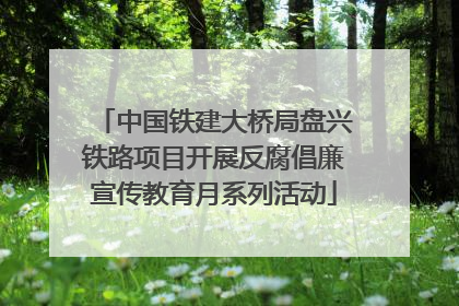 中国铁建大桥局盘兴铁路项目开展反腐倡廉宣传教育月系列活动