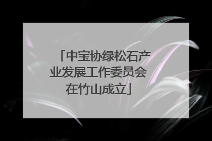 中宝协绿松石产业发展工作委员会在竹山成立