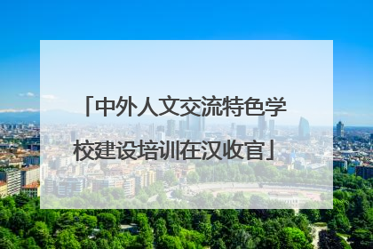 中外人文交流特色学校建设培训在汉收官