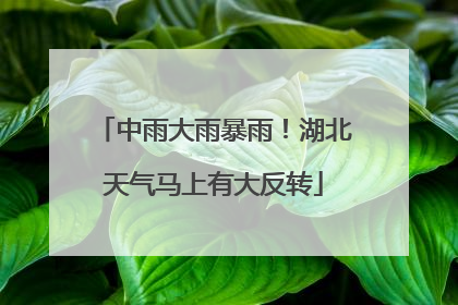 中雨大雨暴雨！湖北天气马上有大反转