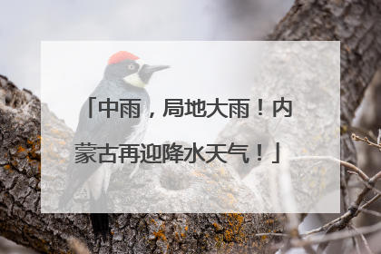 中雨，局地大雨！内蒙古再迎降水天气！