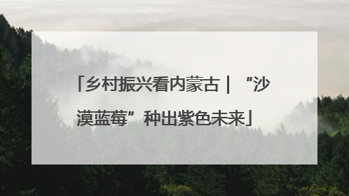 乡村振兴看内蒙古｜“沙漠蓝莓”种出紫色未来