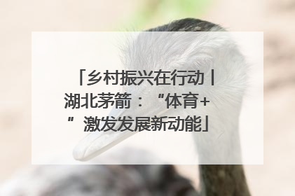 乡村振兴在行动丨湖北茅箭：“体育+”激发发展新动能
