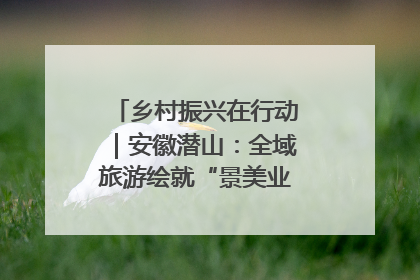 乡村振兴在行动｜安徽潜山：全域旅游绘就“景美业兴民富”新画卷