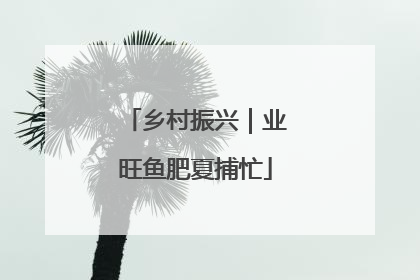 乡村振兴｜业旺鱼肥夏捕忙