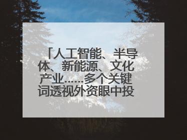 人工智能、半导体、新能源、文化产业……多个关键词透视外资眼中投资中国的新机遇