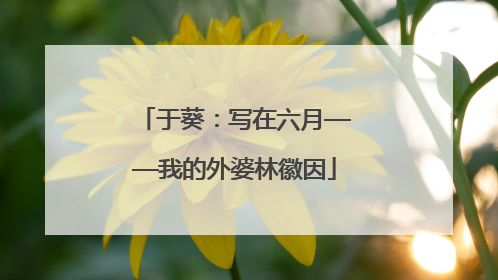 于葵：写在六月——我的外婆林徽因