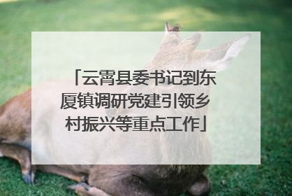 云霄县委书记到东厦镇调研党建引领乡村振兴等重点工作