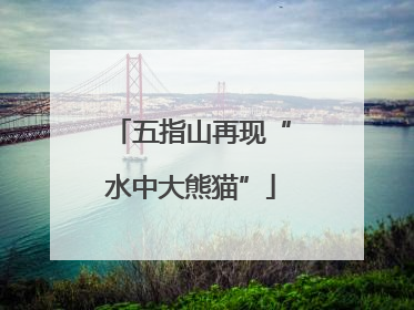 五指山再现“水中大熊猫”