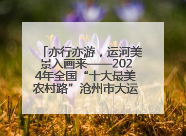 亦行亦游，运河美景入画来——2024年全国“十大最美农村路”沧州市大运河堤顶路探访
