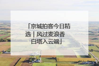 京城拍客今日精选｜风过麦浪香 白塔入云端