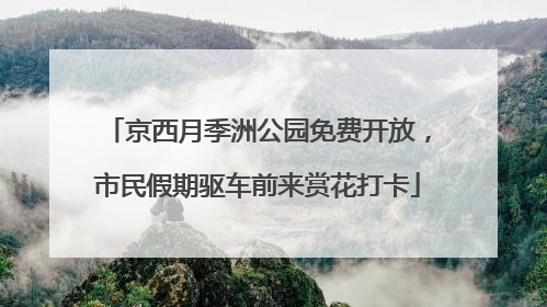 京西月季洲公园免费开放，市民假期驱车前来赏花打卡