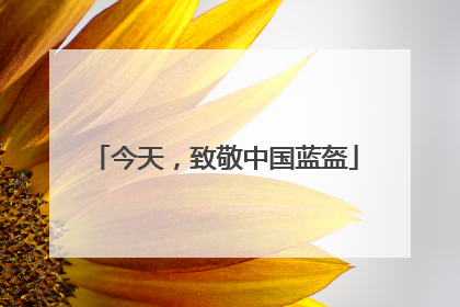 今天，致敬中国蓝盔
