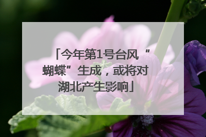 今年第1号台风“蝴蝶”生成，或将对湖北产生影响