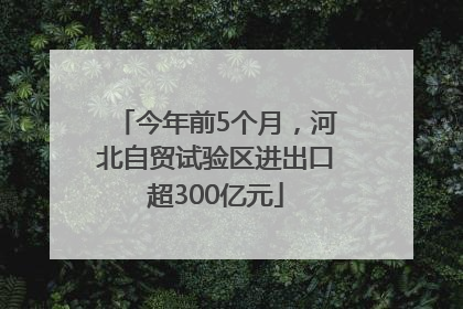 今年前5个月，河北自贸试验区进出口超300亿元