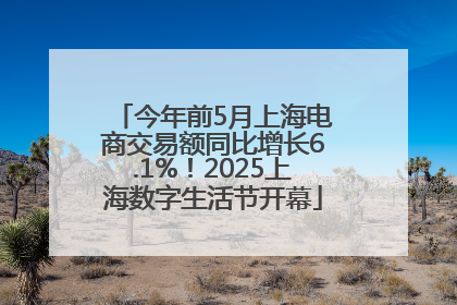 今年前5月上海电商交易额同比增长6.1%！2025上海数字生活节开幕