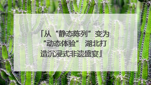 从“静态陈列”变为“动态体验” 湖北打造沉浸式非遗盛宴