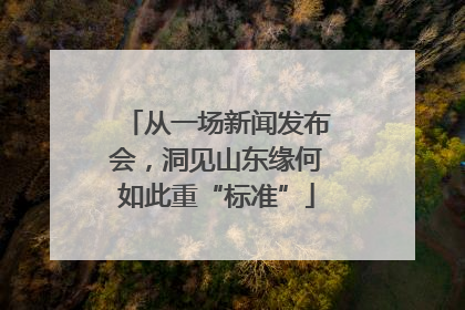 从一场新闻发布会，洞见山东缘何如此重“标准”