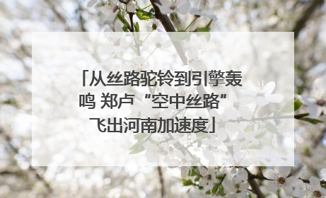 从丝路驼铃到引擎轰鸣 郑卢“空中丝路”飞出河南加速度