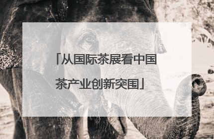 从国际茶展看中国茶产业创新突围