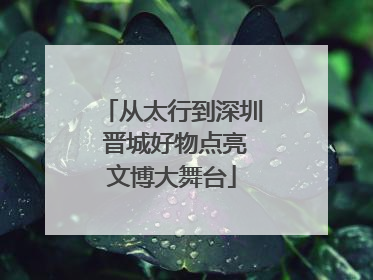从太行到深圳 晋城好物点亮文博大舞台