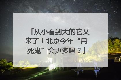 从小看到大的它又来了！北京今年“吊死鬼”会更多吗？