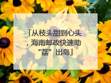 从枝头甜到心头，海南邮政快速助“荔”出岛