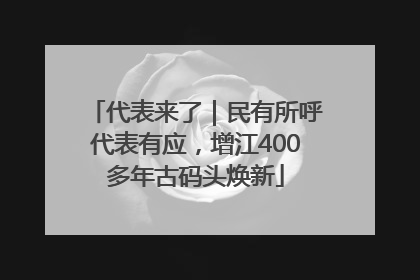 代表来了｜民有所呼代表有应，增江400多年古码头焕新