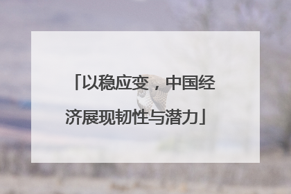 以稳应变，中国经济展现韧性与潜力