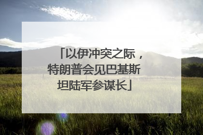 以伊冲突之际，特朗普会见巴基斯坦陆军参谋长