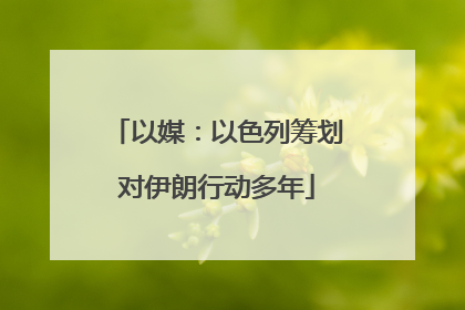 以媒：以色列筹划对伊朗行动多年