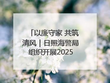 以廉守家 共筑清风｜日照海警局组织开展2025年集中送廉活动