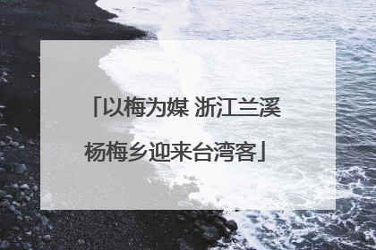 以梅为媒 浙江兰溪杨梅乡迎来台湾客