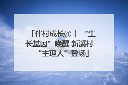 伴村成长①丨 “生长基因”唤醒 新溪村“主理人”登场